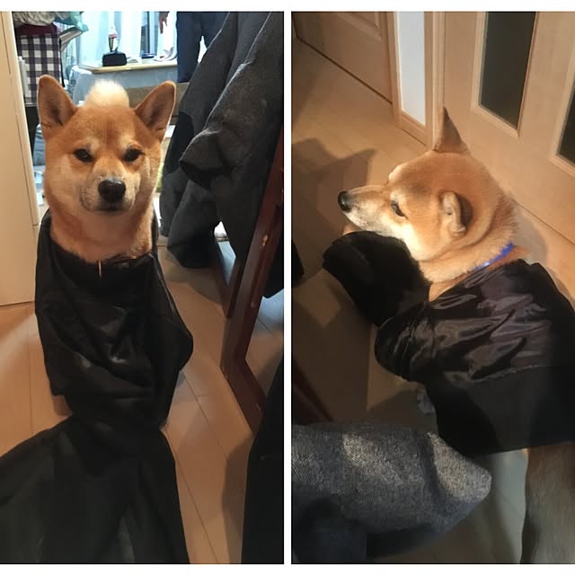 kotaさんの実例写真