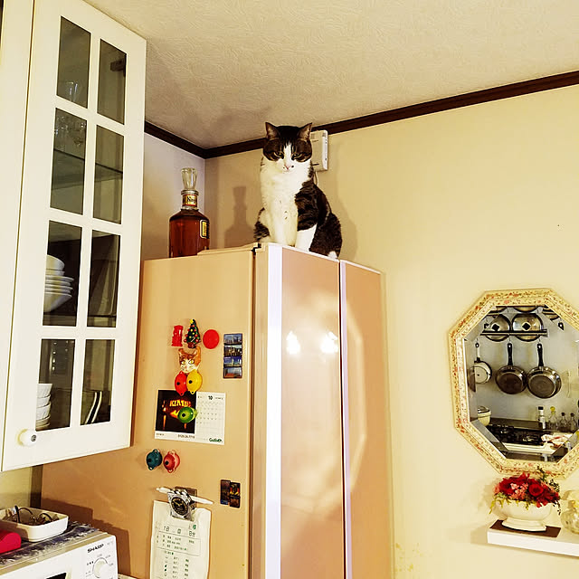 kimiさんの実例写真