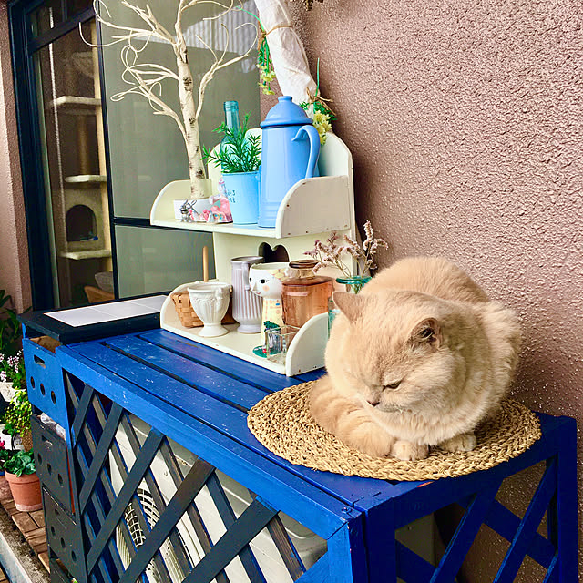 naokoさんの部屋