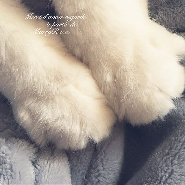 maria.rさんの実例写真