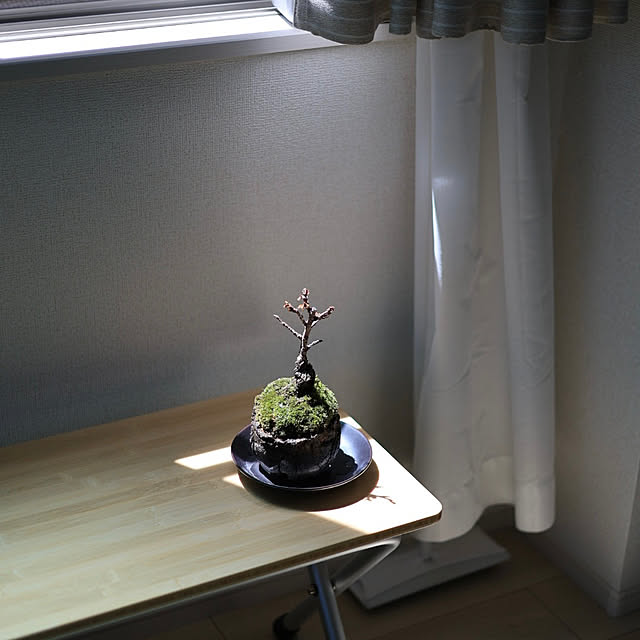 manmaさんの部屋