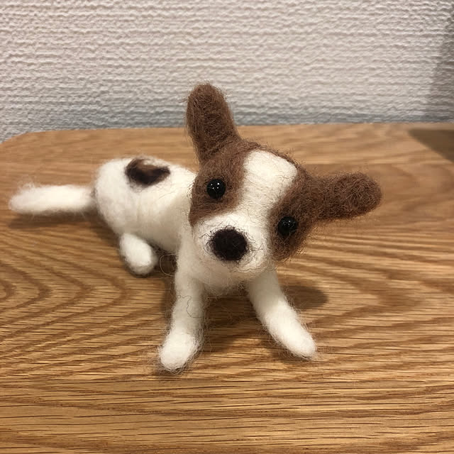 tomoさんの実例写真