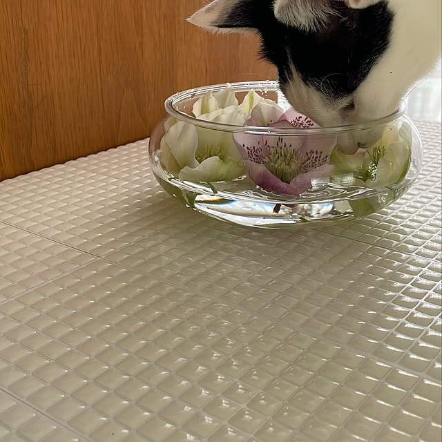 nobikoさんの実例写真