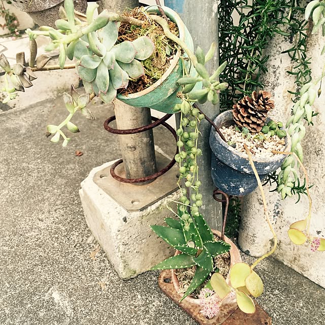 GreenWorksさんの実例写真
