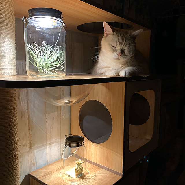 sirasu.nさんの実例写真