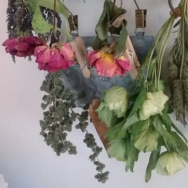 yukkoさんの実例写真