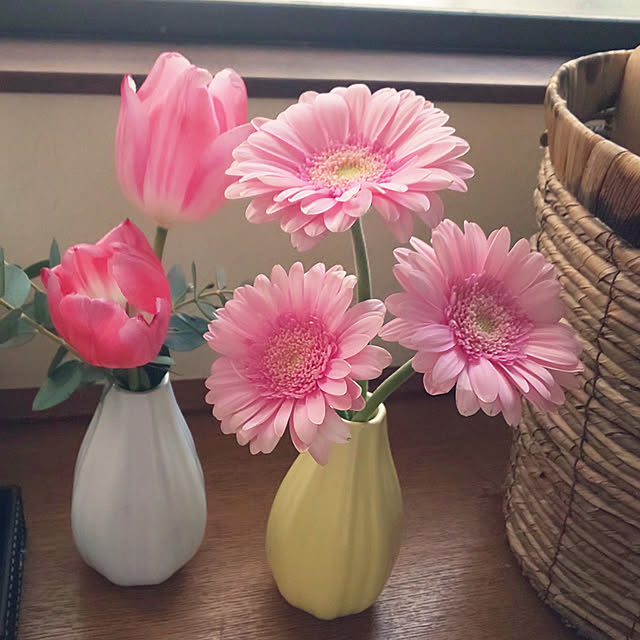 oseroさんの実例写真