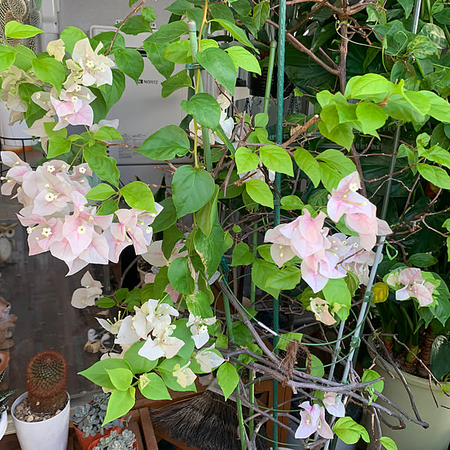 Aqettyさんの部屋