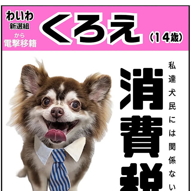 chIoeさんの部屋