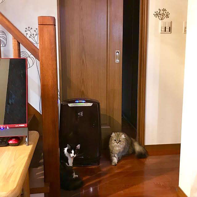 butachanさんの実例写真