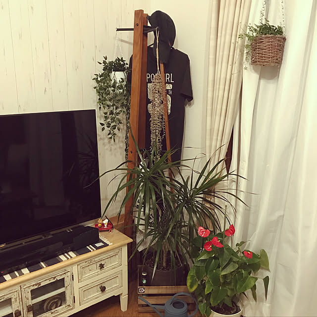 ange_lohasさんの実例写真