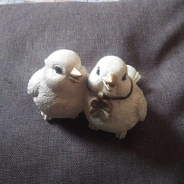 kiraさんの実例写真