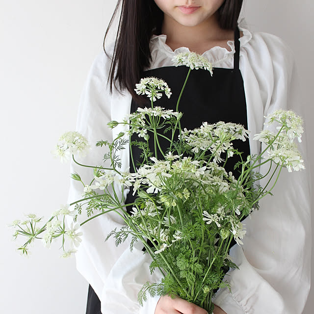 comiriさんの実例写真