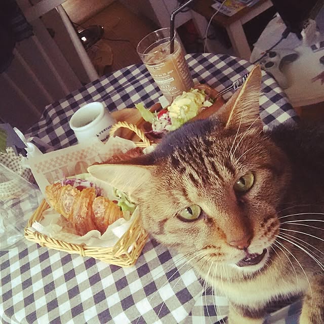 Kanaeさんの実例写真
