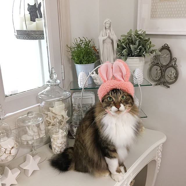 yuchiさんの実例写真