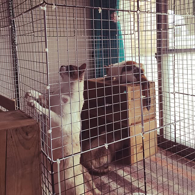 muwaさんの実例写真
