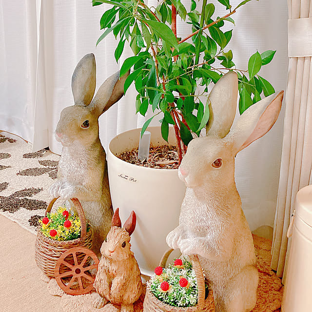 Hanakaさんの部屋