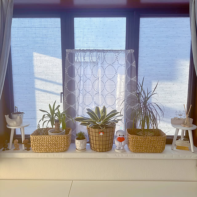 miyuさんの実例写真