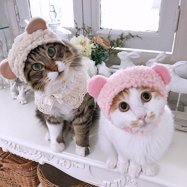yuchiさんの実例写真