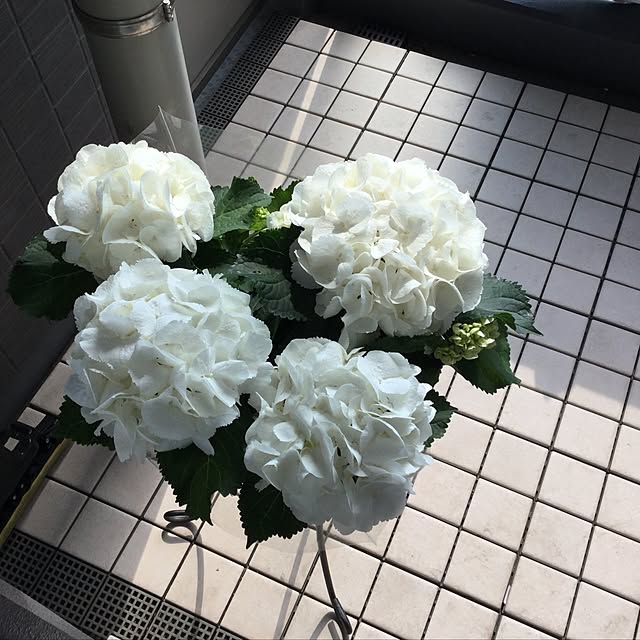 mimiさんの実例写真