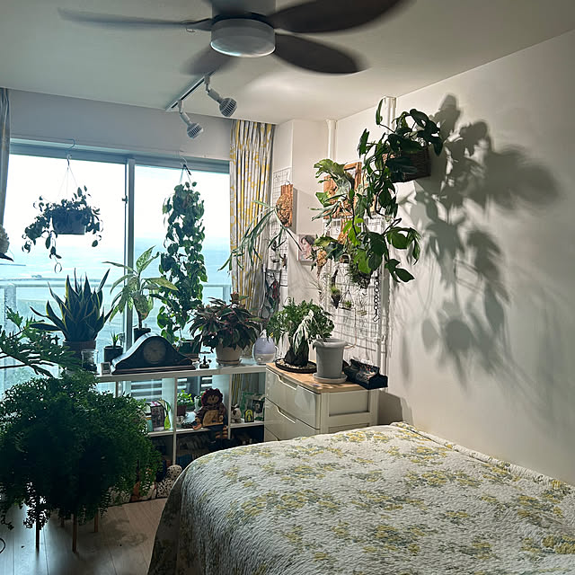 Kitakitaさんの部屋