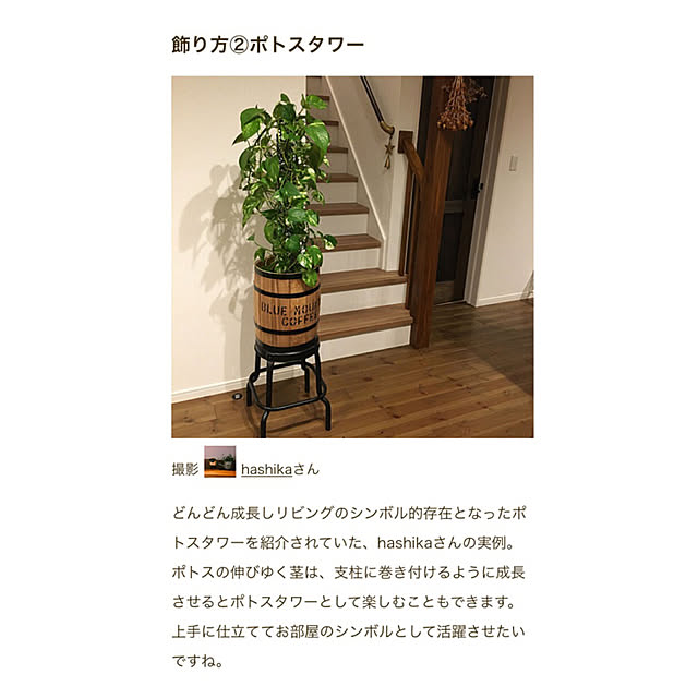 hashikaさんの実例写真