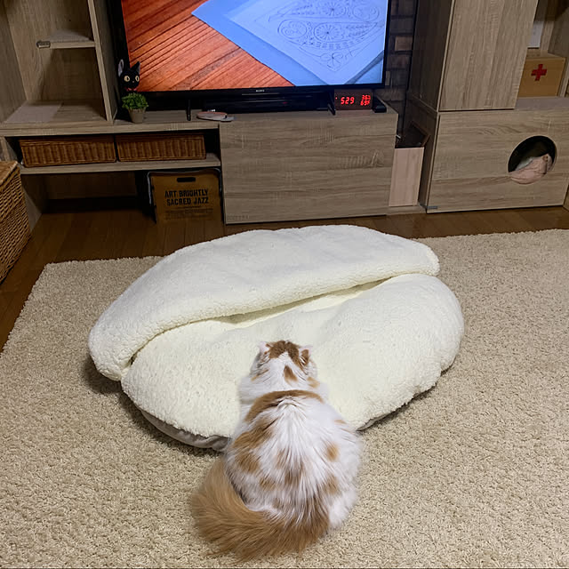 keiさんの実例写真