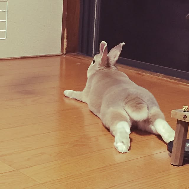 fruity anさんの実例写真