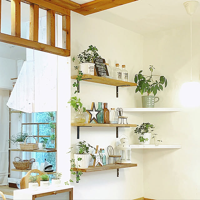 vol.2571写真
