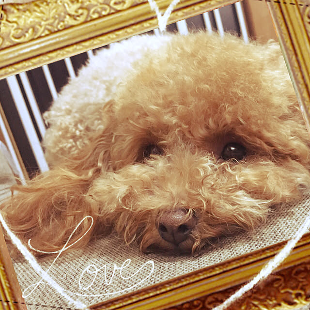 mokolateさんの実例写真