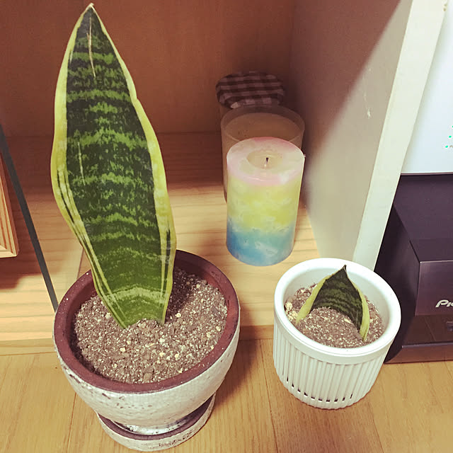 Mymyさんの実例写真