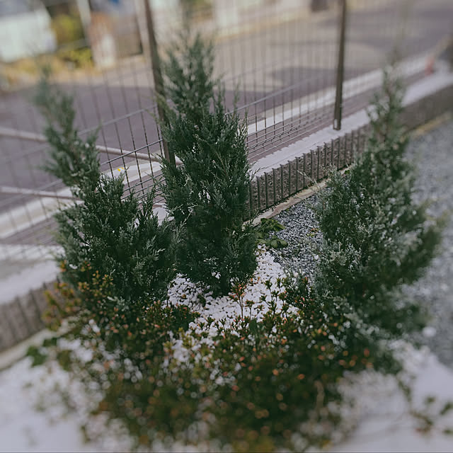 yoshiiさんの実例写真