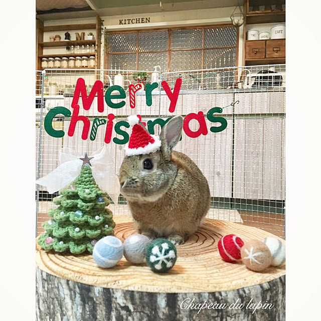 mashiさんの実例写真