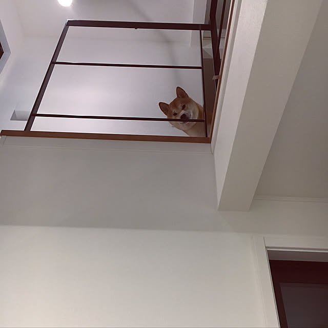 diez_taraさんの実例写真