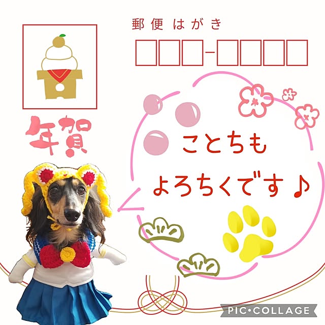 momozouさんの実例写真