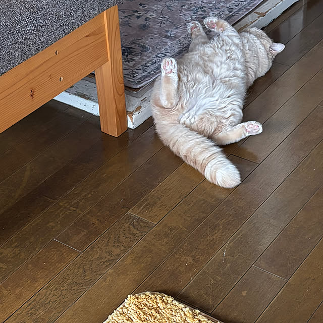 naokoさんの実例写真