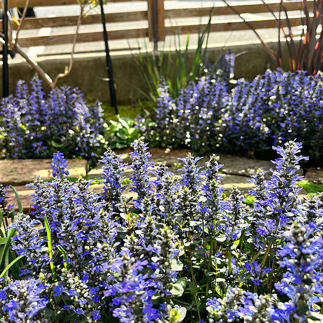 kyoko1124koさんの実例写真