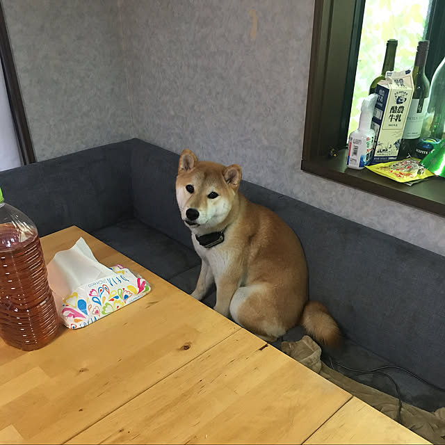 luckyさんの実例写真