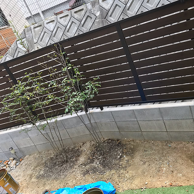 risayoshiさんの実例写真