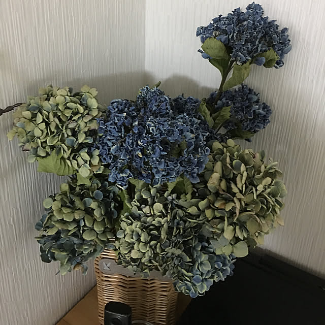 mmmkさんの実例写真