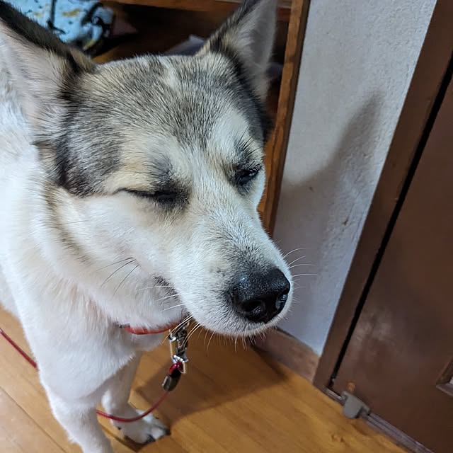 asaさんの部屋