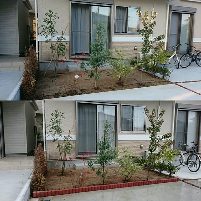 makitomonさんの実例写真