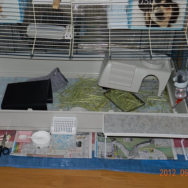 SapporoBillyさんの実例写真