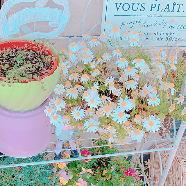 moonさんの部屋