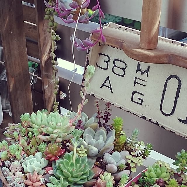 yonaminkoさんの実例写真