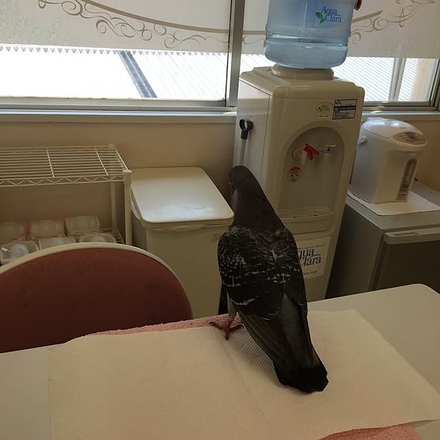 swaro109さんの実例写真