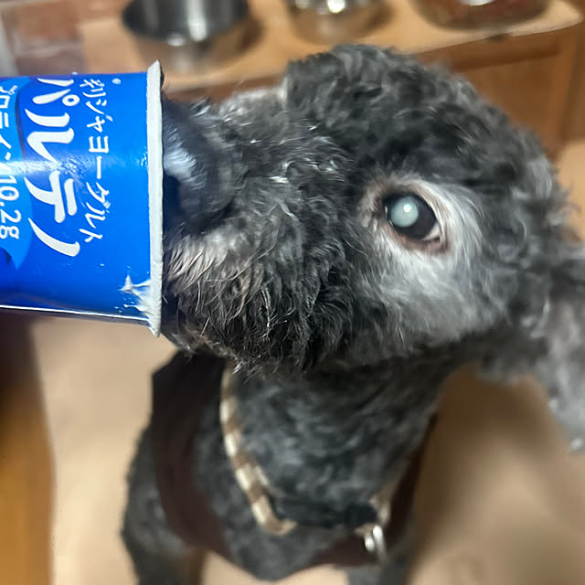nnramさんの部屋