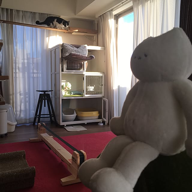 mikomaruさんの実例写真