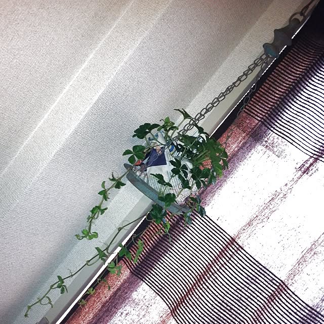 Yuiさんの実例写真