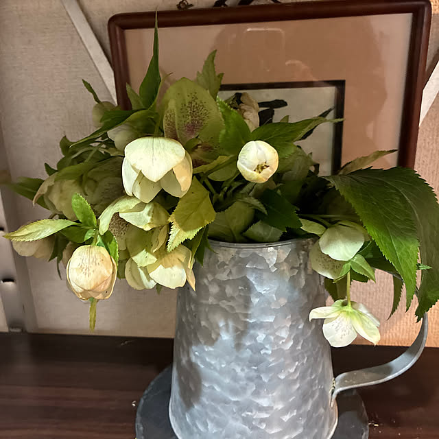 cagosukiさんの実例写真